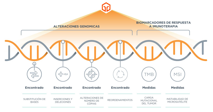 Las pruebas de zonas activas multigénicas corren el riesgo de perder alteraciones genómicas, mientras que los perfiles genómicos integrales analizan ampliamente el genoma para identificar todas las alteraciones relevantes