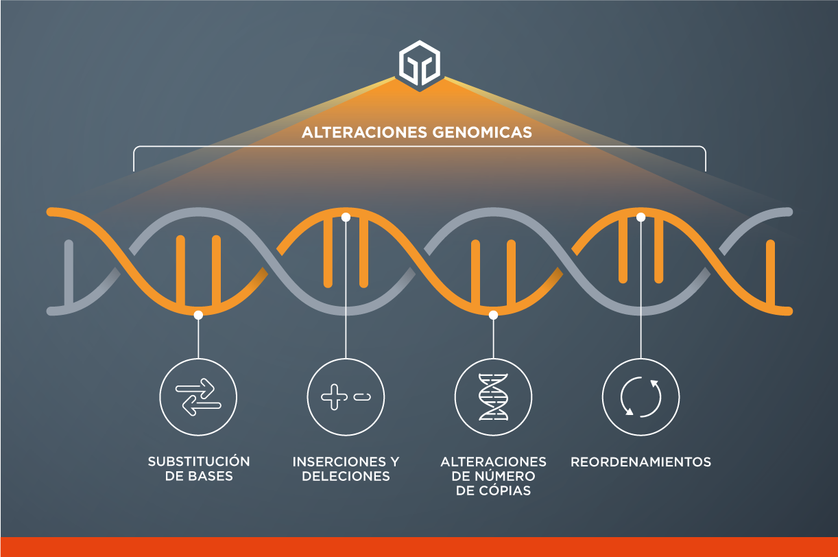 Todos nuestros servicios utilizan nuestro enfoque integral de perfiles genómicos para identificar alteraciones clínicamente relevantes y potencialmente ampliar las opciones de tratamiento